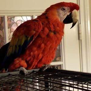 Meet your Posher, Christopher